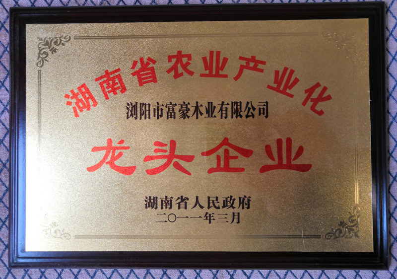 富豪樓梯榮獲省林業(yè)產(chǎn)業(yè)龍頭企業(yè)