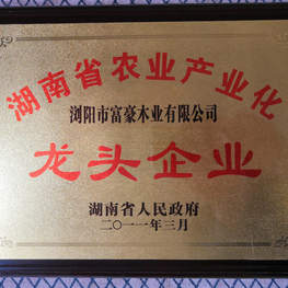 富豪樓梯榮獲省林業(yè)產(chǎn)業(yè)龍頭企業(yè)